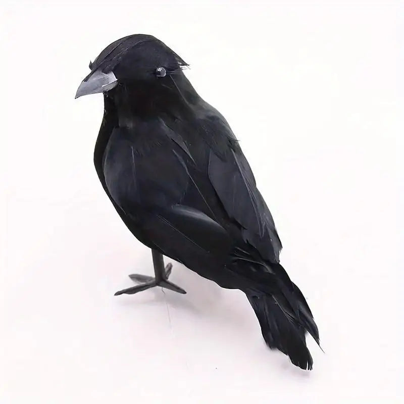 6 Pack of Realistic Crow