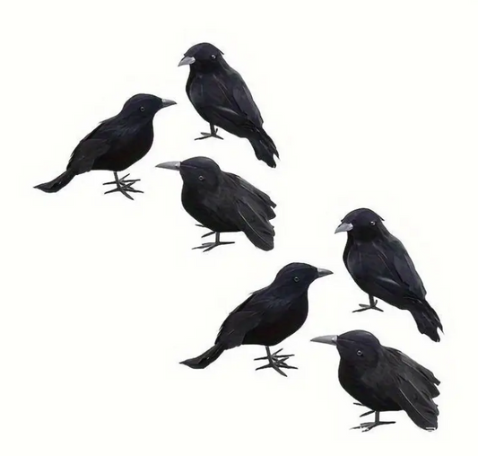6 Pack of Realistic Crow