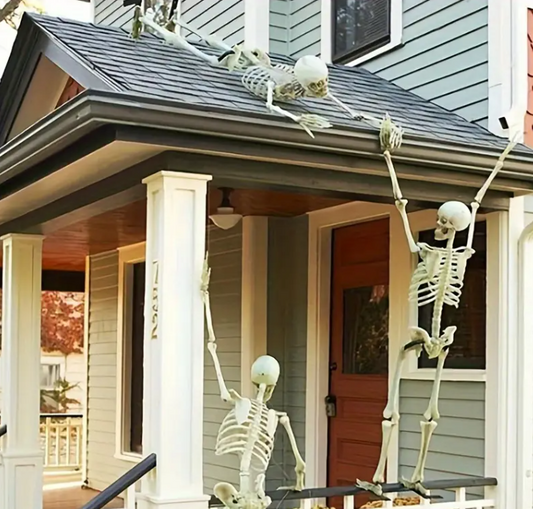 3ft Skeleton Decoration